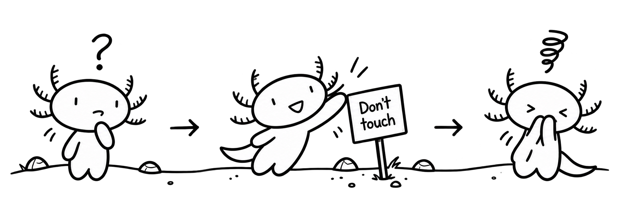 The axolotl has a question. The axolotl wants to touch something he shouldn’t. The axolotl covers his face after the experiment.